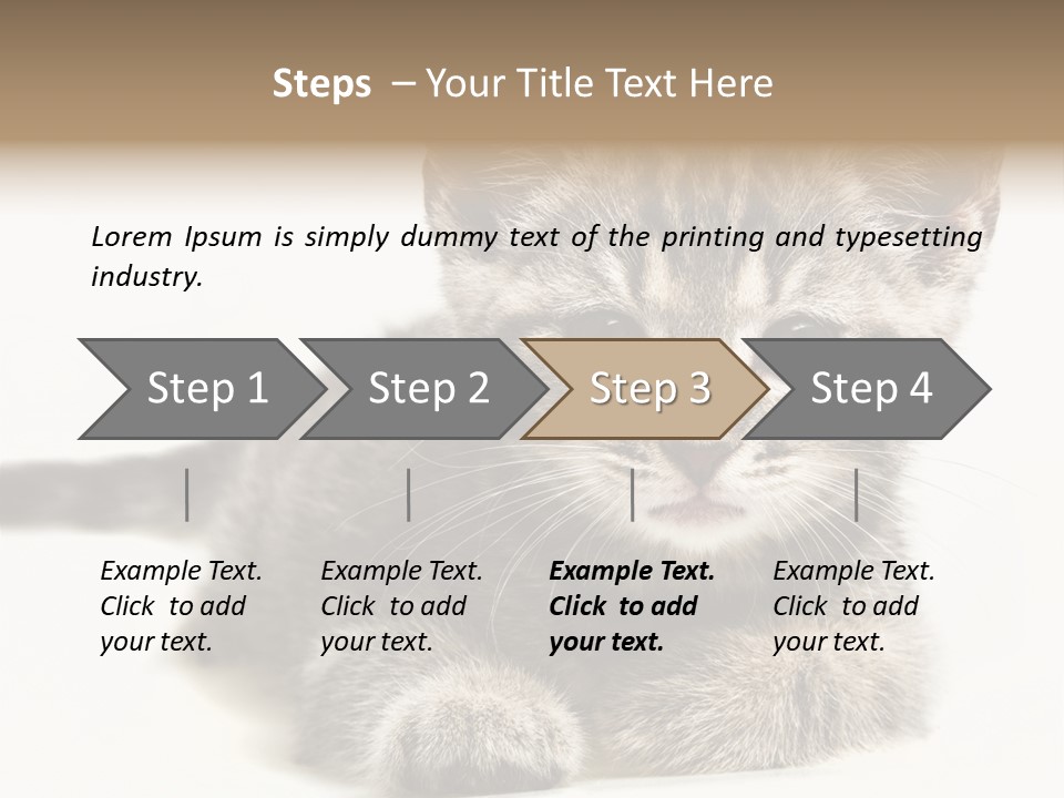 Isolated Animal Cat PowerPoint Template