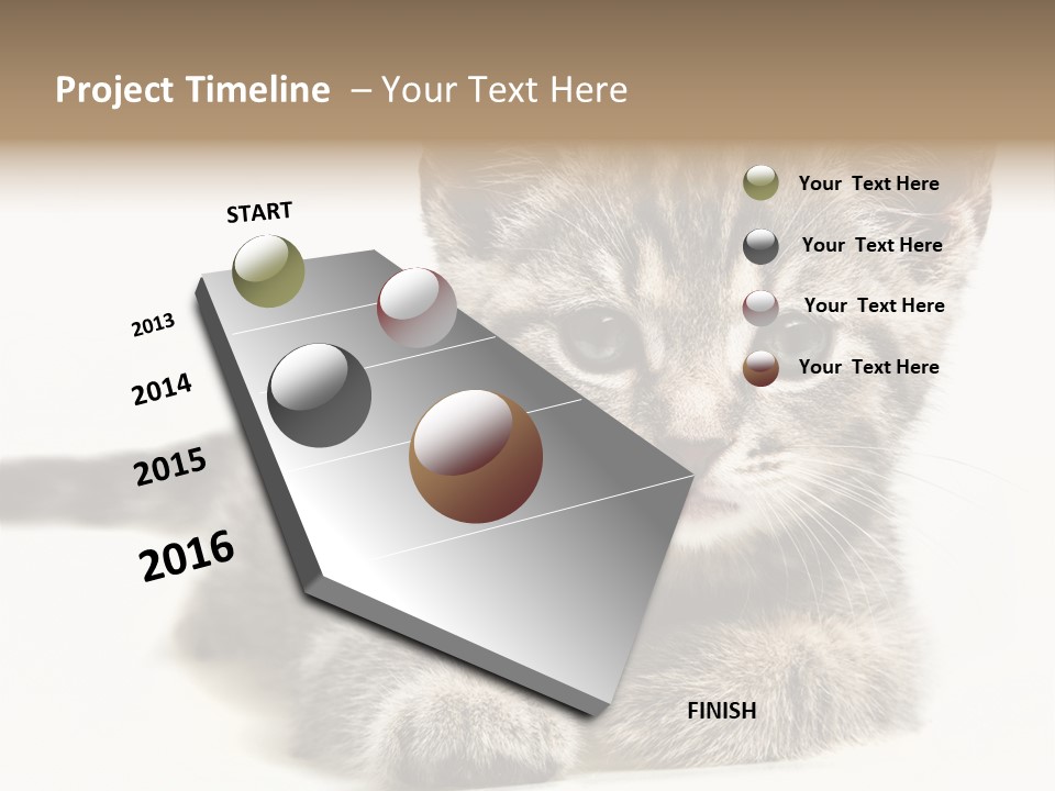 Isolated Animal Cat PowerPoint Template