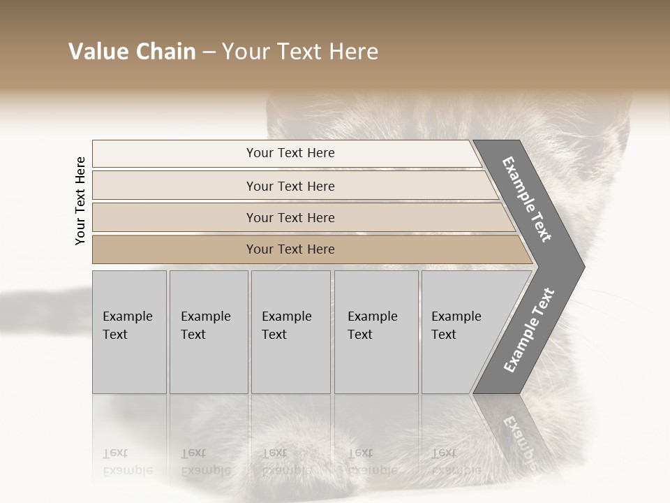 Isolated Animal Cat PowerPoint Template