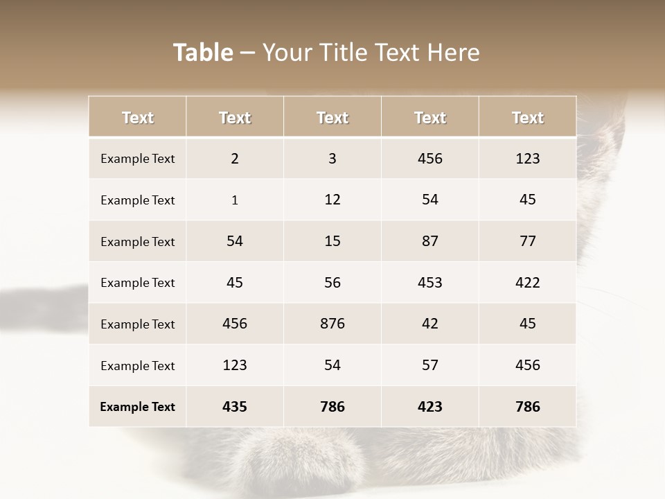 Isolated Animal Cat PowerPoint Template