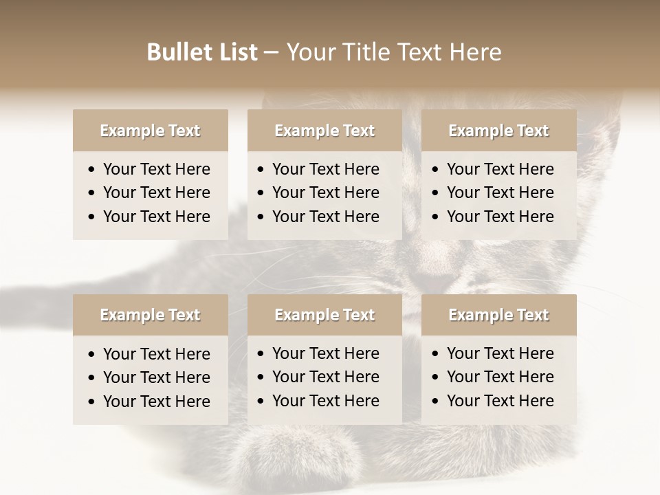 Isolated Animal Cat PowerPoint Template