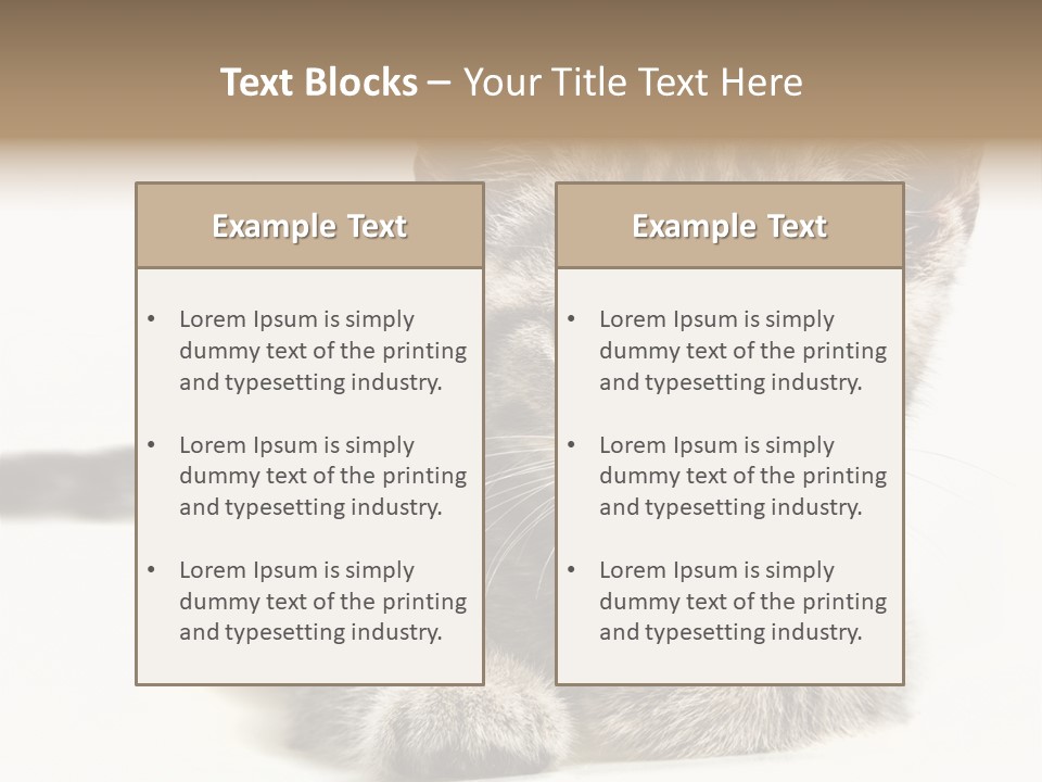 Isolated Animal Cat PowerPoint Template