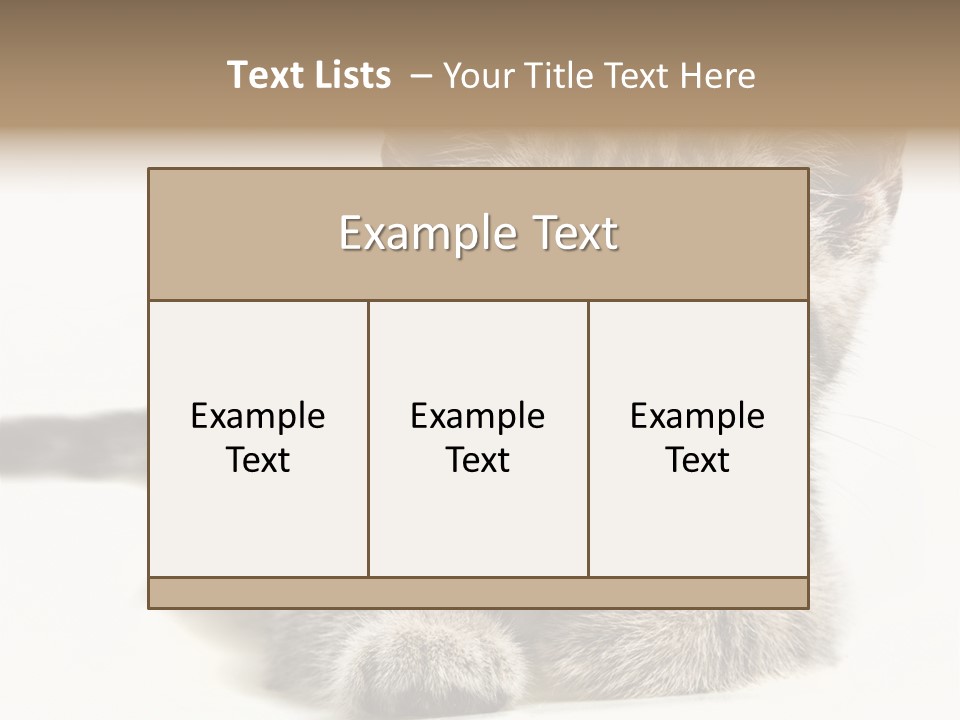 Isolated Animal Cat PowerPoint Template
