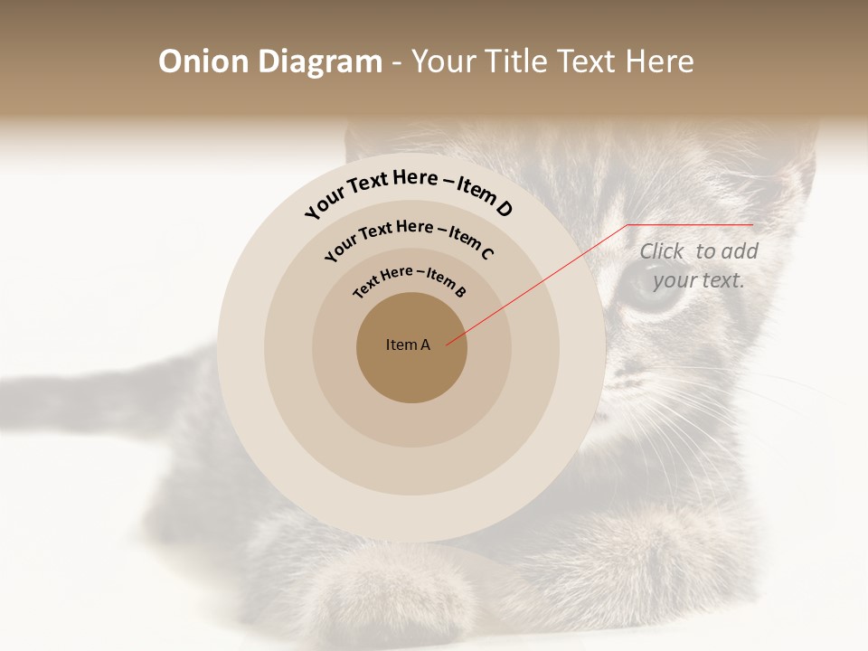 Isolated Animal Cat PowerPoint Template