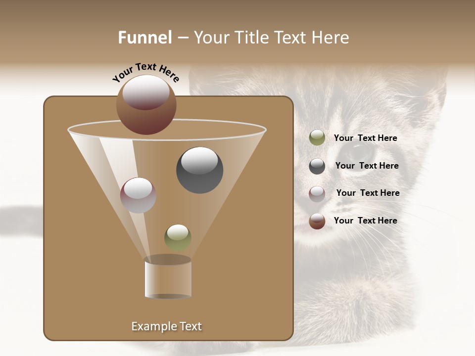 Isolated Animal Cat PowerPoint Template