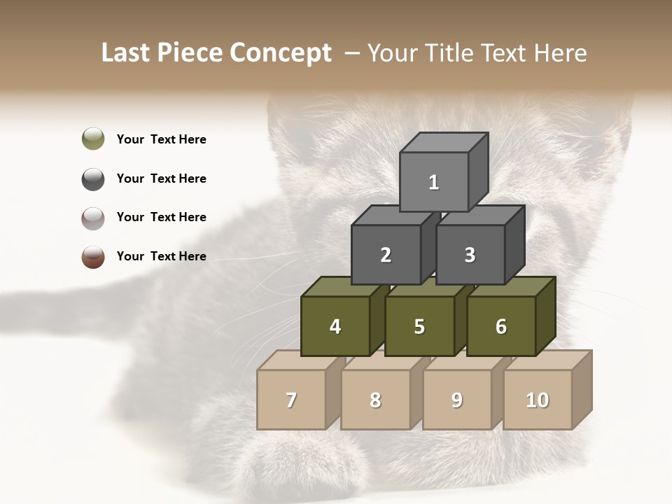 Isolated Animal Cat PowerPoint Template