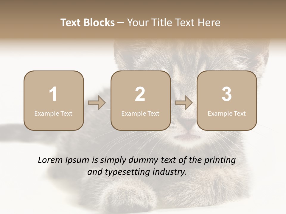 Isolated Animal Cat PowerPoint Template