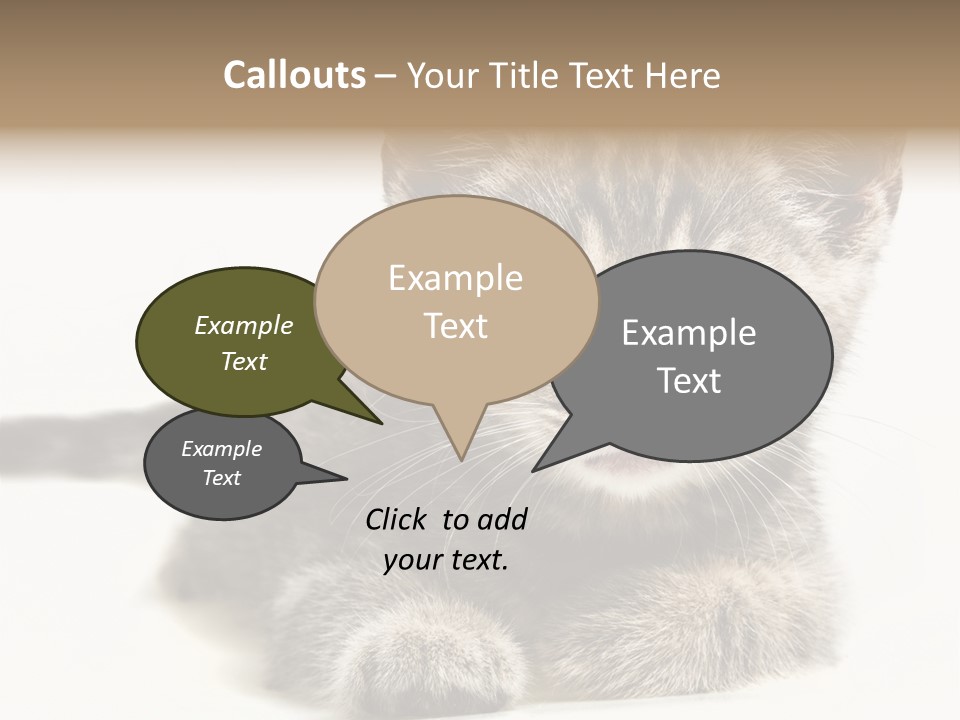 Isolated Animal Cat PowerPoint Template