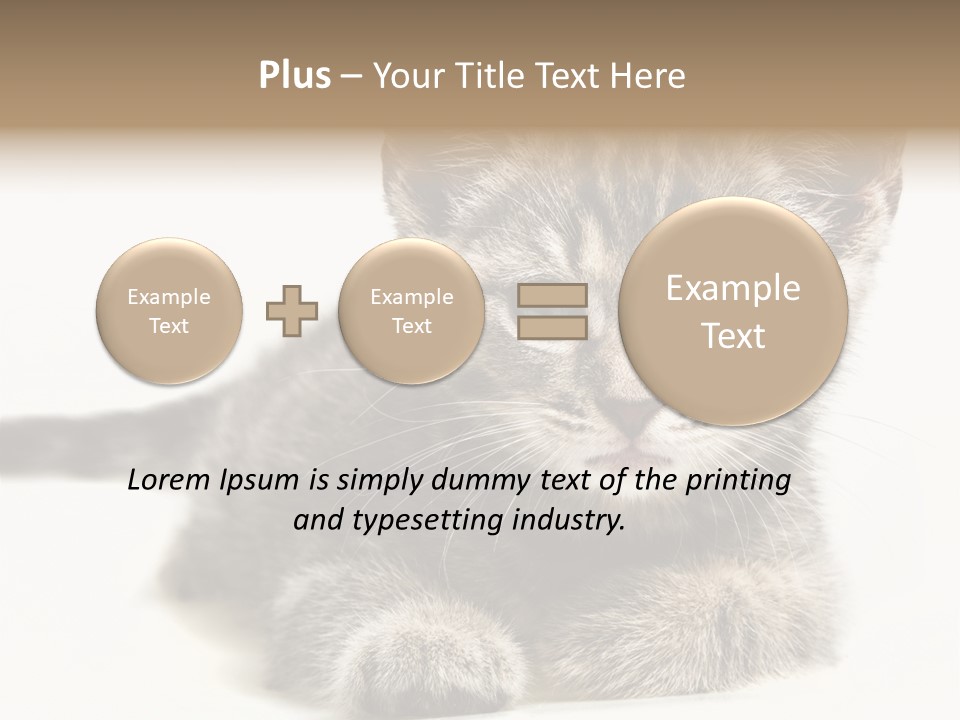 Isolated Animal Cat PowerPoint Template