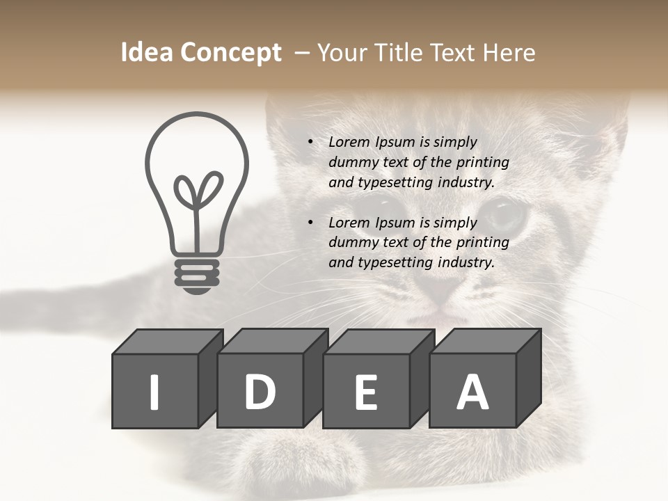Isolated Animal Cat PowerPoint Template