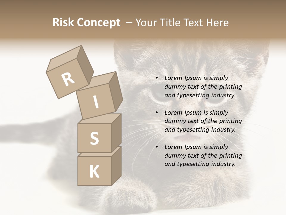 Isolated Animal Cat PowerPoint Template