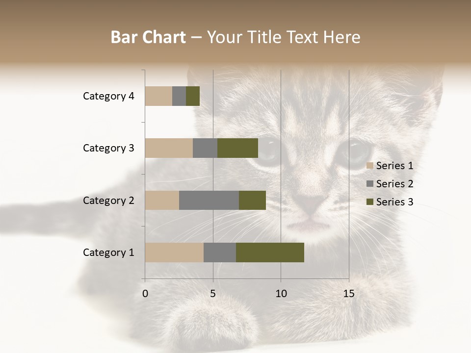 Isolated Animal Cat PowerPoint Template