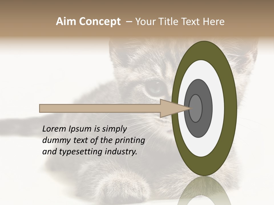 Isolated Animal Cat PowerPoint Template
