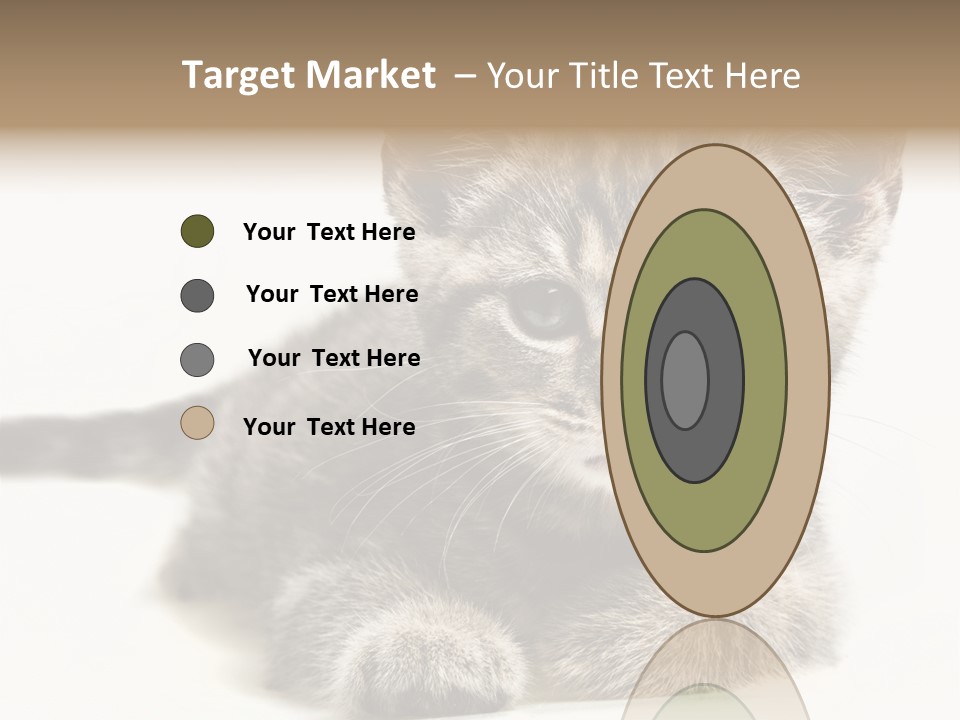 Isolated Animal Cat PowerPoint Template