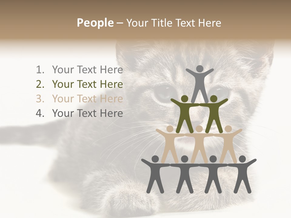Isolated Animal Cat PowerPoint Template