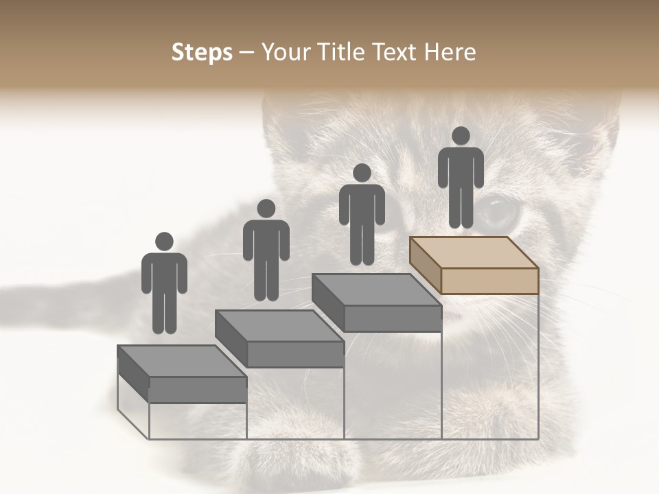Isolated Animal Cat PowerPoint Template