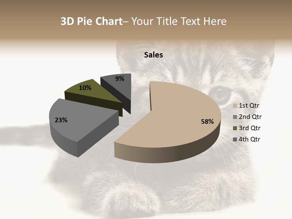 Isolated Animal Cat PowerPoint Template