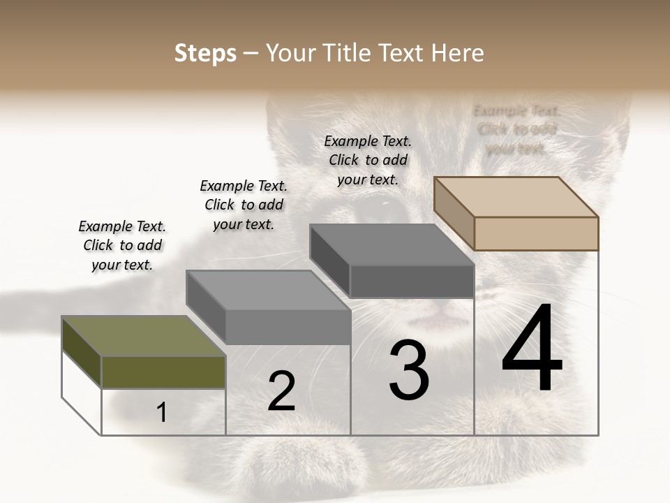Isolated Animal Cat PowerPoint Template