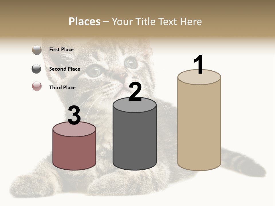 Small Kitty Sweet PowerPoint Template