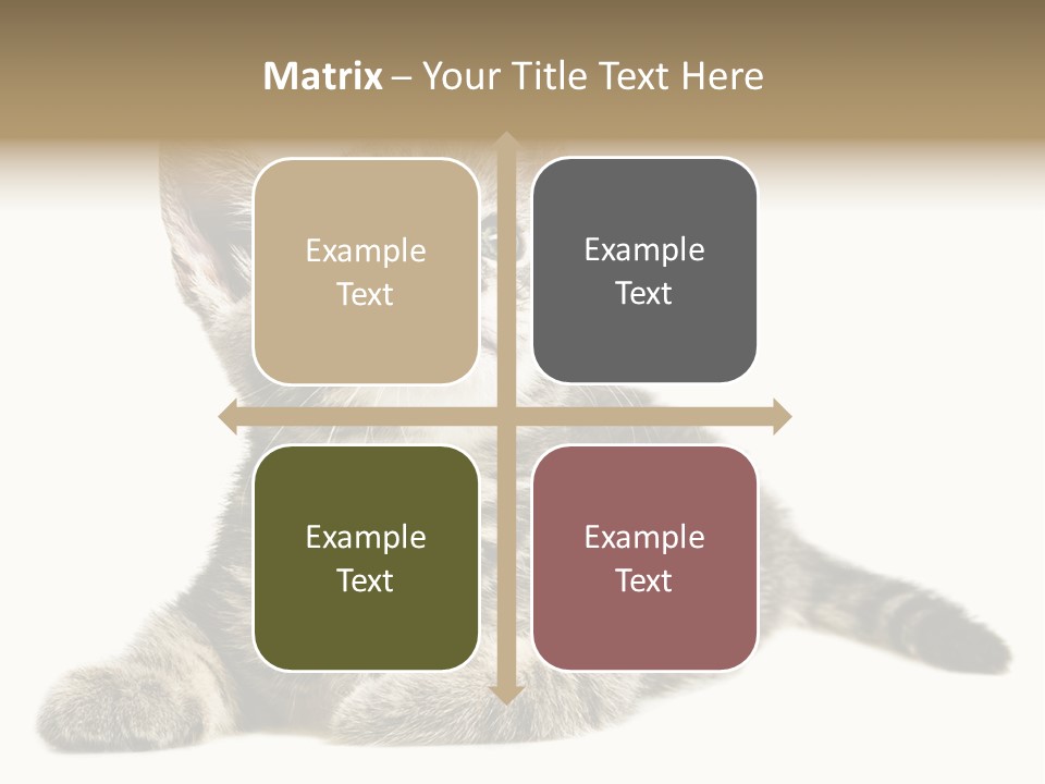 Small Kitty Sweet PowerPoint Template