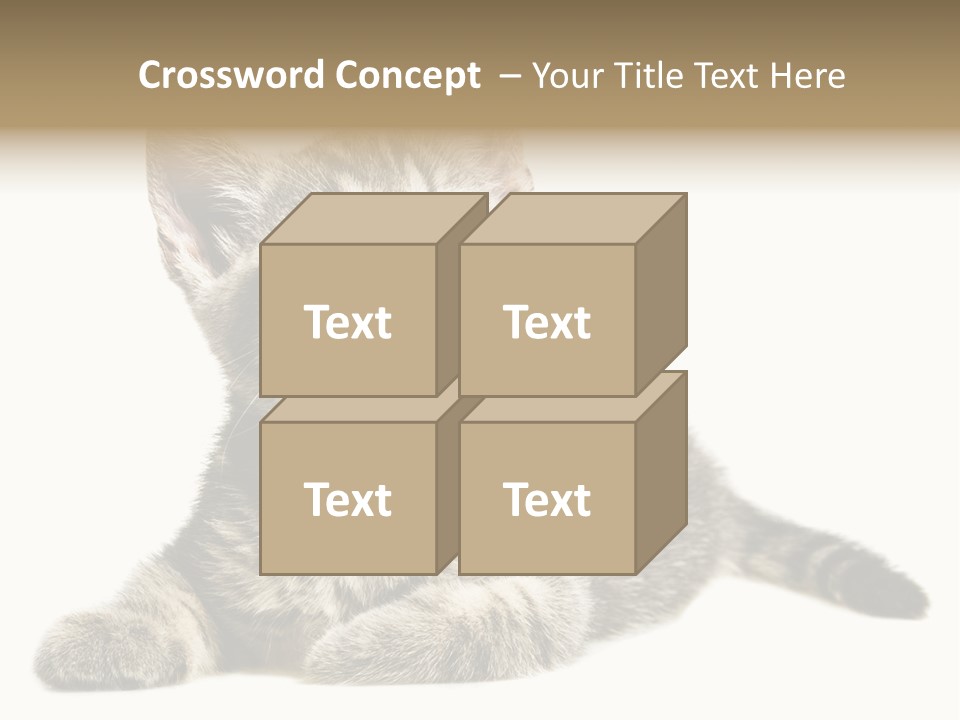 Small Kitty Sweet PowerPoint Template
