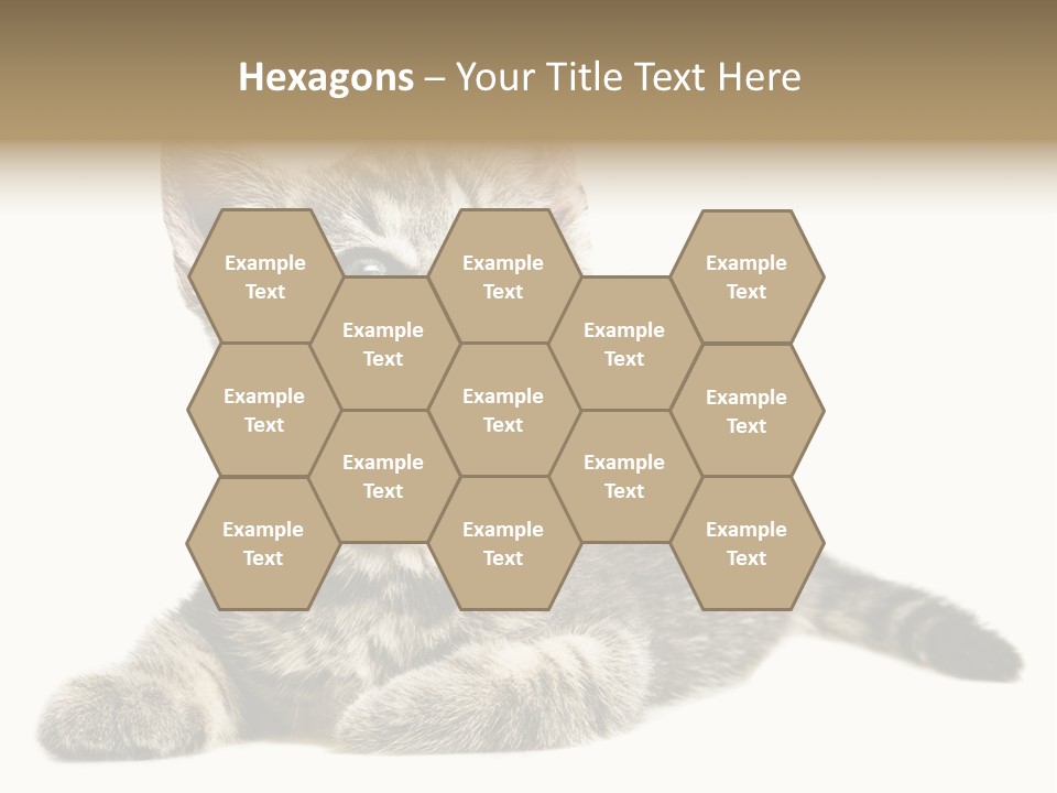 Small Kitty Sweet PowerPoint Template