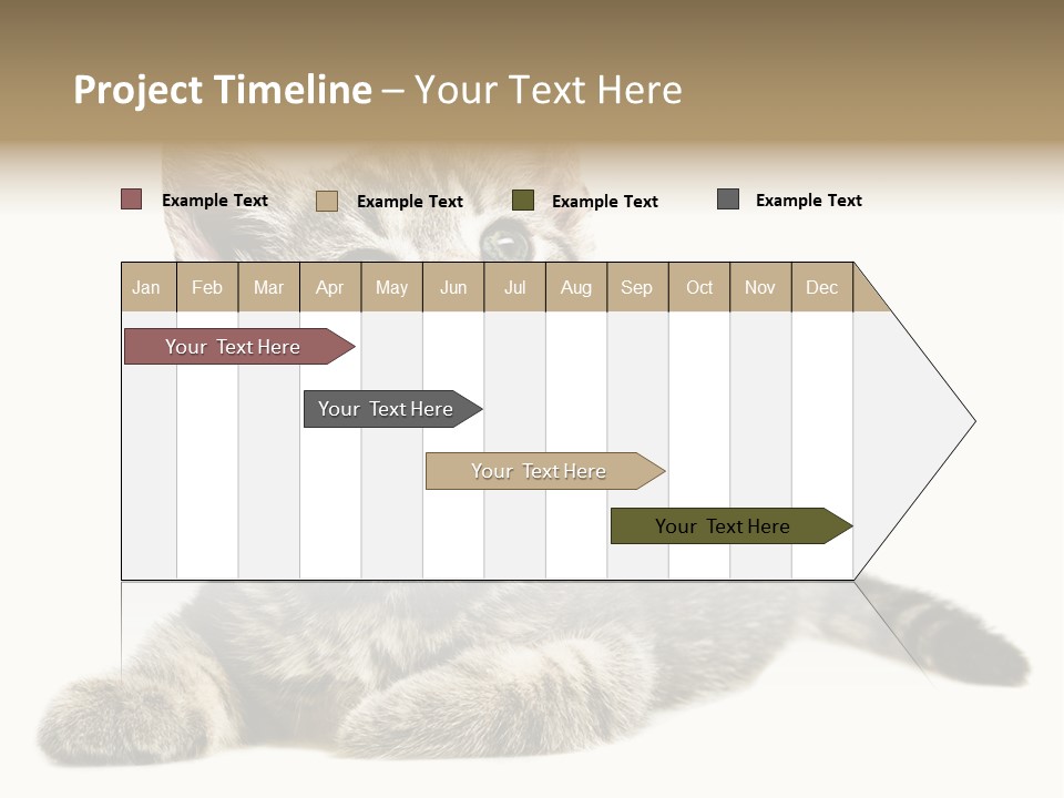 Small Kitty Sweet PowerPoint Template