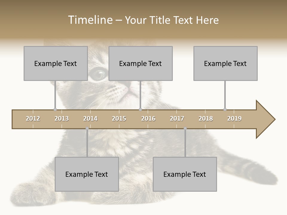 Small Kitty Sweet PowerPoint Template