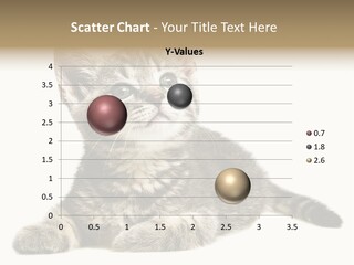 Small Kitty Sweet PowerPoint Template