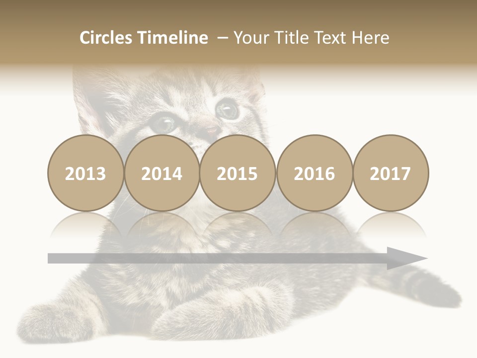 Small Kitty Sweet PowerPoint Template