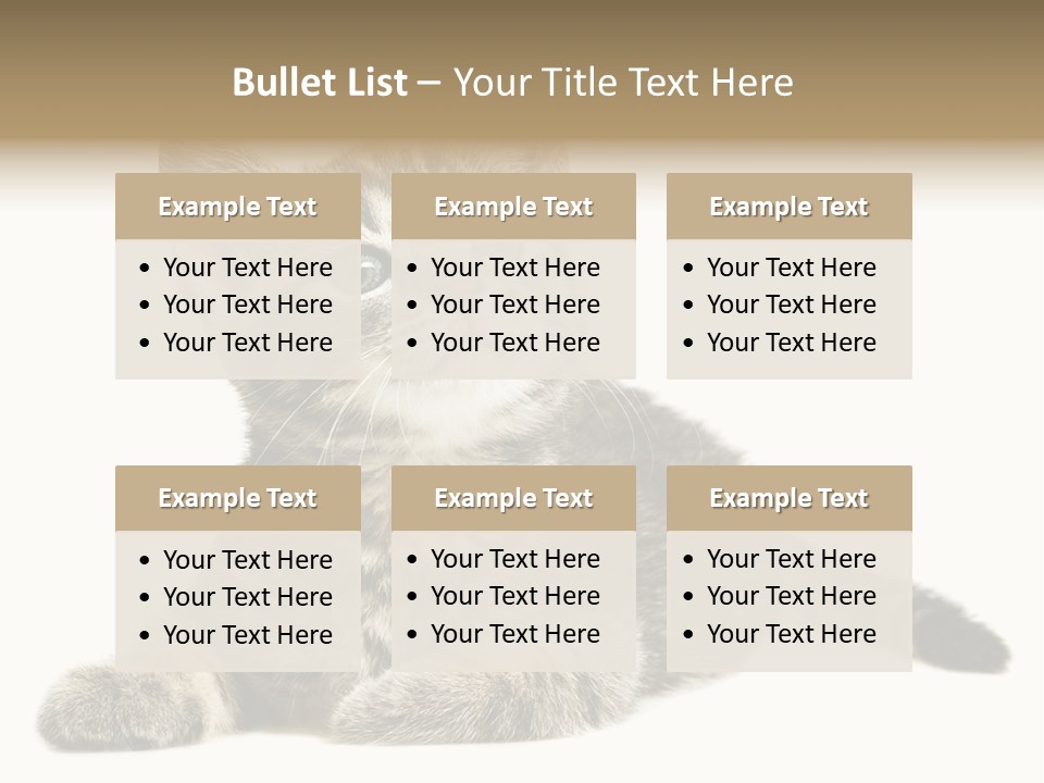 Small Kitty Sweet PowerPoint Template