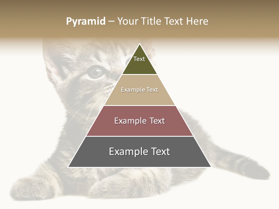 Small Kitty Sweet PowerPoint Template