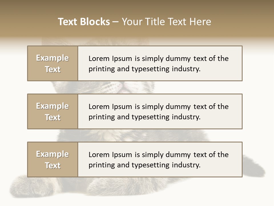 Small Kitty Sweet PowerPoint Template