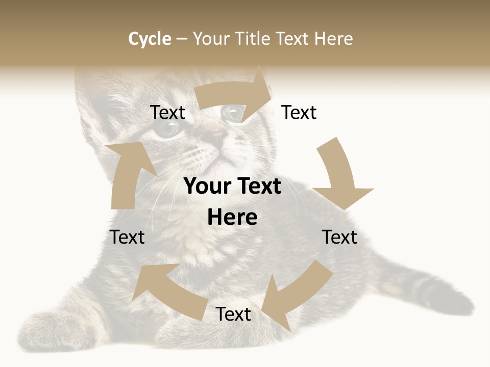 Small Kitty Sweet PowerPoint Template