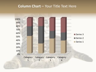 Small Kitty Sweet PowerPoint Template