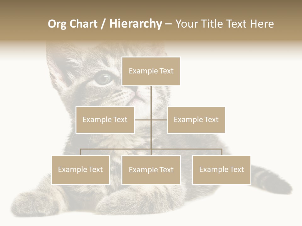 Small Kitty Sweet PowerPoint Template