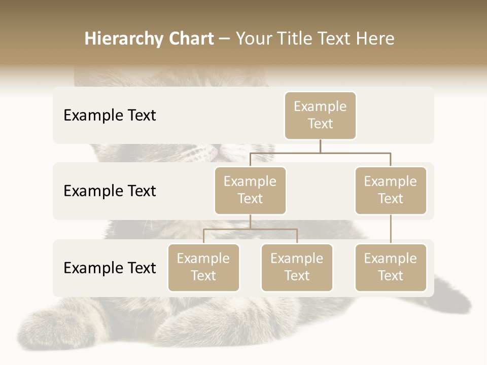 Small Kitty Sweet PowerPoint Template