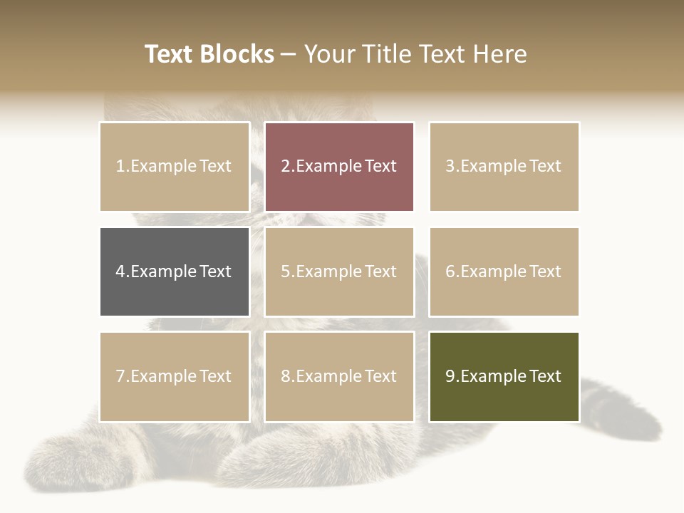 Small Kitty Sweet PowerPoint Template