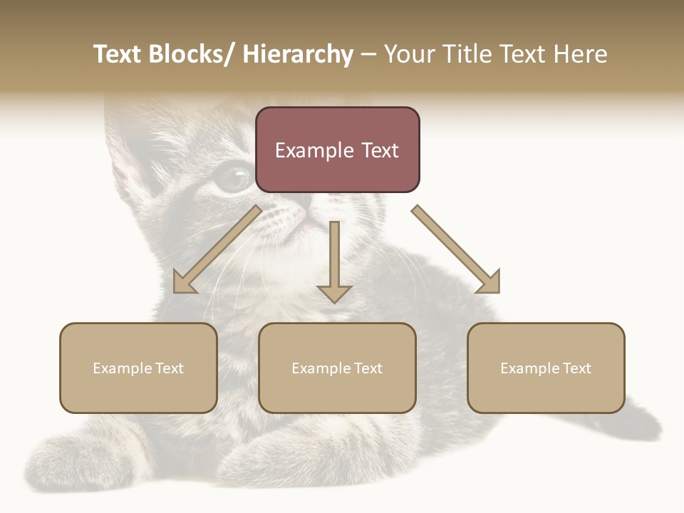 Small Kitty Sweet PowerPoint Template