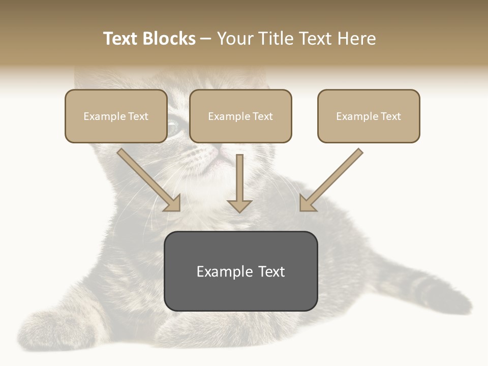 Small Kitty Sweet PowerPoint Template