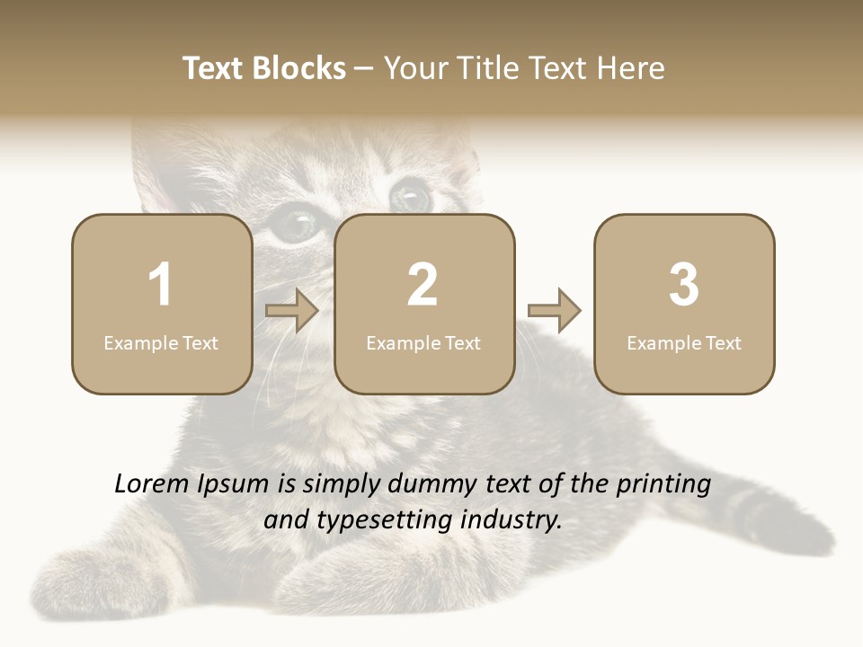 Small Kitty Sweet PowerPoint Template