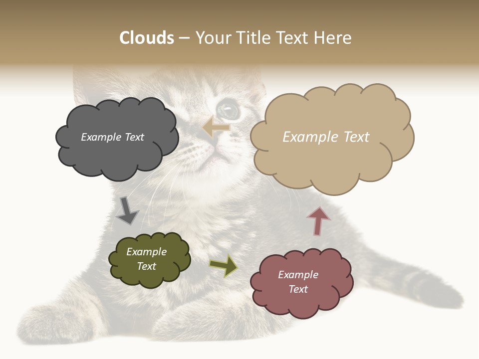 Small Kitty Sweet PowerPoint Template