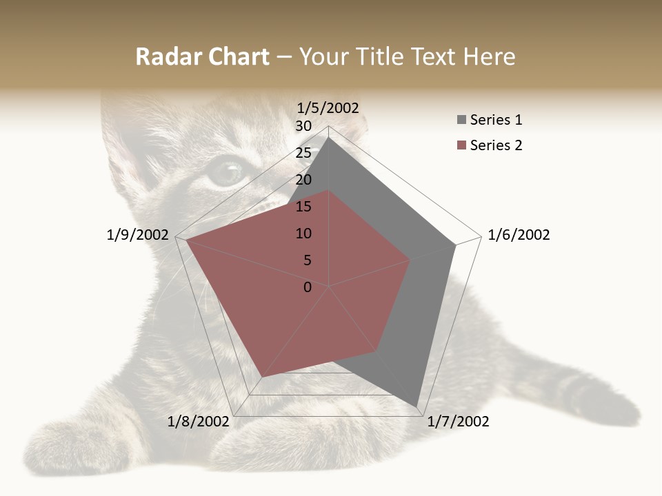 Small Kitty Sweet PowerPoint Template