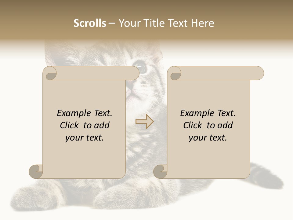 Small Kitty Sweet PowerPoint Template