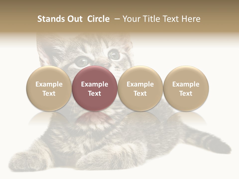 Small Kitty Sweet PowerPoint Template