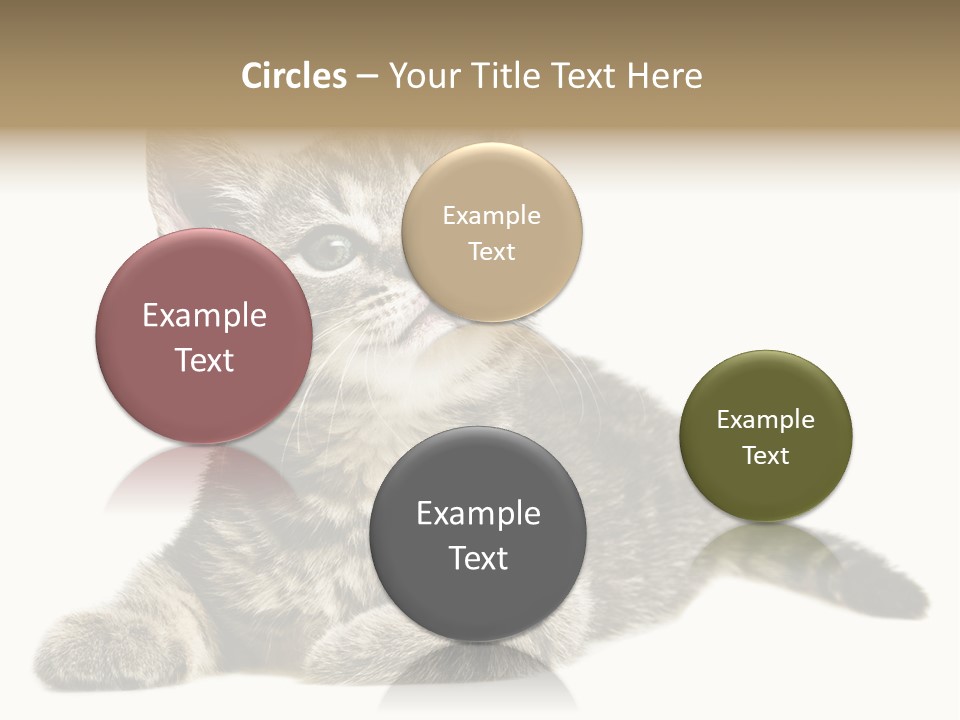 Small Kitty Sweet PowerPoint Template