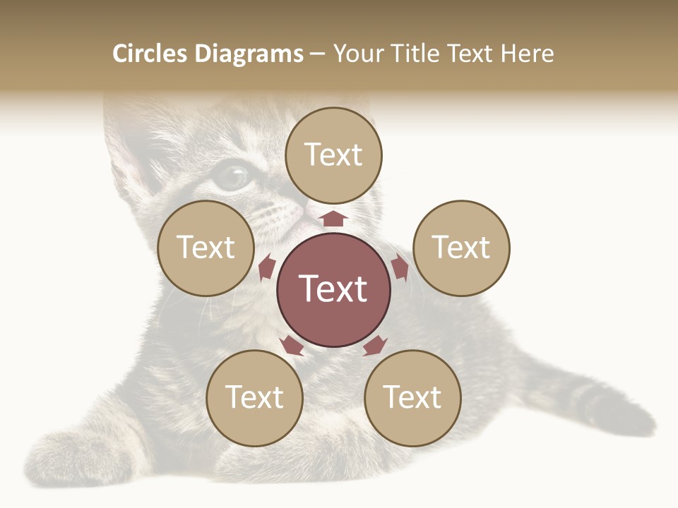 Small Kitty Sweet PowerPoint Template