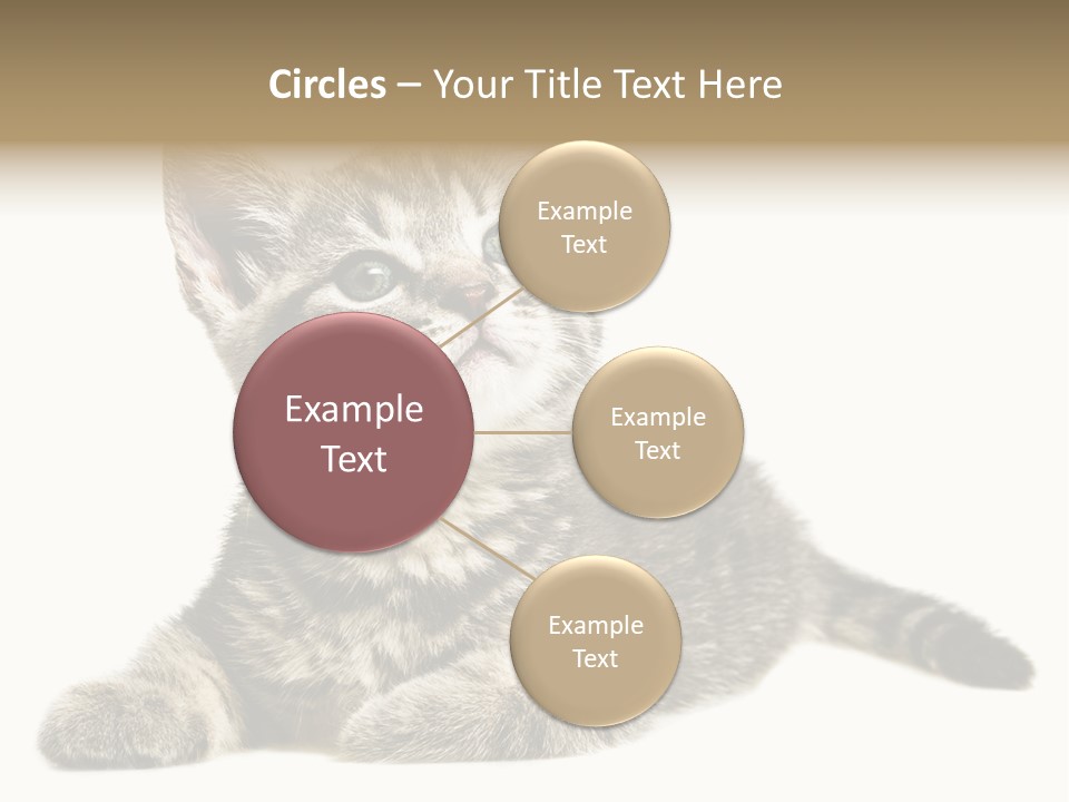Small Kitty Sweet PowerPoint Template