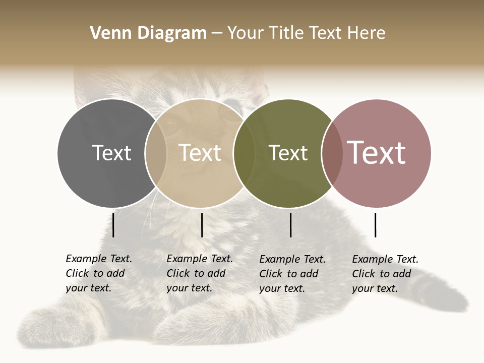 Small Kitty Sweet PowerPoint Template