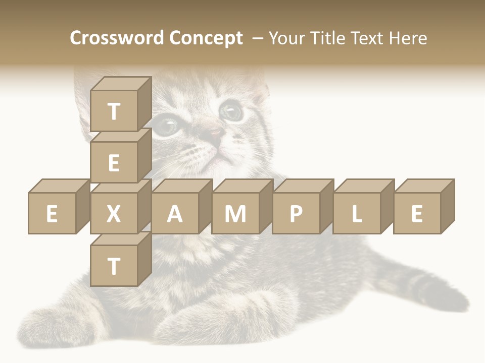 Small Kitty Sweet PowerPoint Template